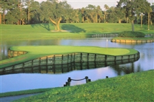 Fred Couples Signed The Players Championship 17th Green Poster JSA ALOA