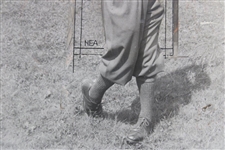 Gene Sarazen 1928 US Open at Olympia Fields Post-Swing Press Photo  - June 23rd