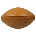 1973 Notre Dame National Champions Logo Football