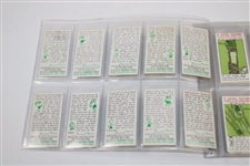 Set of Thirty-Six (36) W.A. & A.C. Churchham 'Jovial Golfers In Search Of The Perfect Course' Golf Cards