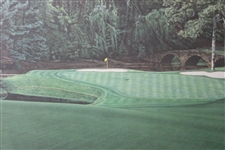 Augusta National Golf Club 11th Hole Ltd Ed Oversize Michael Lane Print 611/1000 - Framed