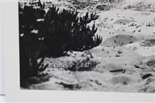 Arnold Palmer Hitting From Sandtrap Photo by Rey Ruppel of Monterey, Calif. Matted on Board