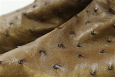 Past Champions Gifted Tony Lama Leather Boot with PGA Logo