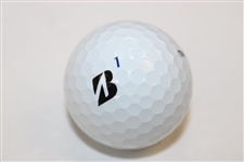 Tiger Personal Used Nike Golf Glove with Tiger Used Bridgestone 1 Golf Ball