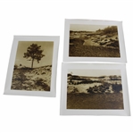 Three (3) Vintage Sepia 11x14 Photos of Pine Valley Golf Club