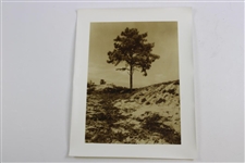 Three (3) Vintage Sepia 11x14 Photos of Pine Valley Golf Club