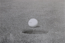 Bobby Jones How To Break 90 Warner Bros. Culver Pictures Putting Photo