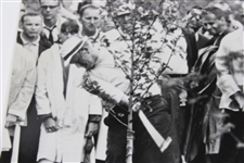 Jack Nicklaus 'Nicklaus Has Tree Trouble' 1965 Wire Photo