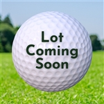 Auction Lot Coming Soon During The Ryder Cup - Stay Tuned