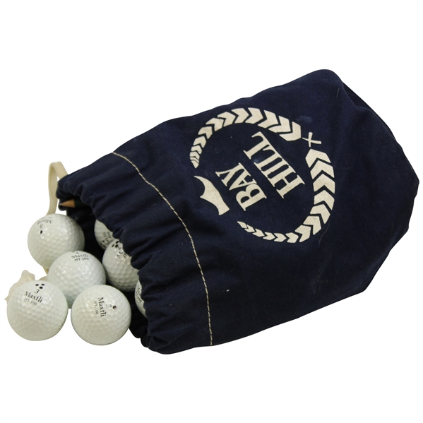 Arnold Palmer's Seventeen (17) Marked & Used Golf Balls in Bay Hill Navy Shag Bag from Arnie's Caddie