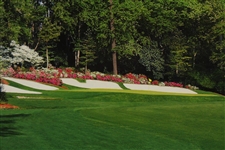 2008 Masters Tournament 13th Hole Poster Photographed By Rob Brown