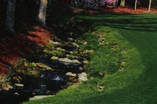 2008 Masters Tournament 13th Hole Poster Photographed By Rob Brown