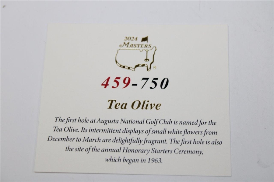 2024 Masters Tournament Ltd Ed Coin #459/750 in Box w/Card - Hole One Tea Olive