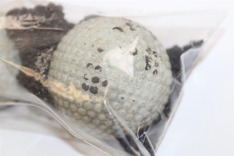 Damaged Original Haskell Bramble Golf Ball