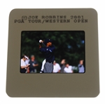 Tiger Woods Color Photo Negative - Joe Robbins 2001 PGA Tour/ Western Open