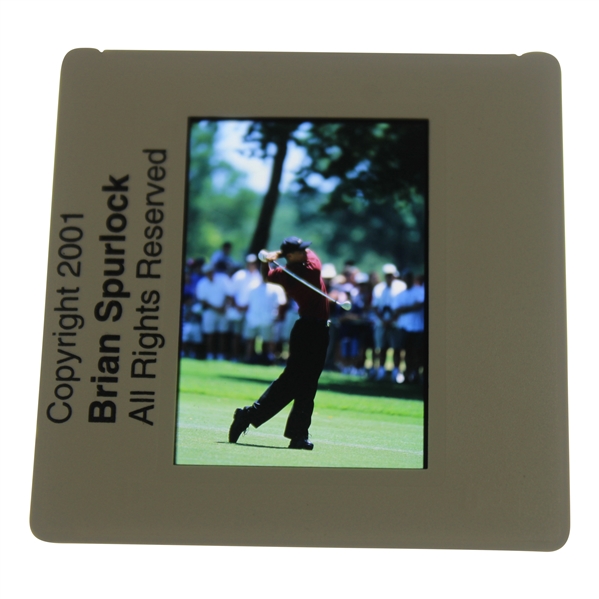 Tiger Woods Color Photo Negative - Brian Spurlock 2001