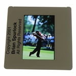 Tiger Woods Color Photo Negative - Brian Spurlock 2001