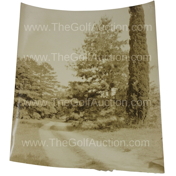 Early 1930s Augusta National Golf Club Original Photo of Magnolia "Avenue" Lane - Miller Collection