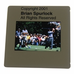 Tiger Woods Color Photo Negative - Brian Spurlock 2001