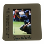 Tiger Woods Color Photo Negative - Joe Robbins 2001 PGA Tour/ Western Open