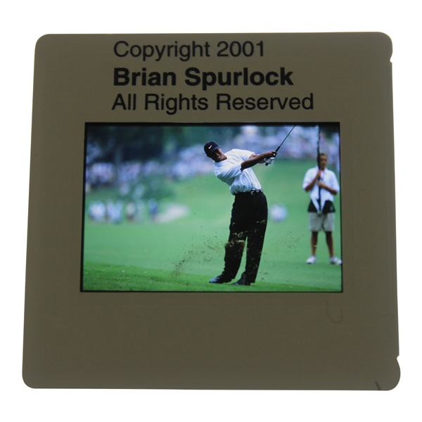 Tiger Woods Color Photo Negative - Brian Spurlock 2001