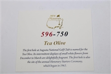 2024 Masters Tournament Ltd Ed Coin #596/750 in Box w/Card - Hole One Tea Olive