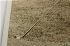 1925 Maureen Orcutt 'Seventeen Year Old Ladies Golf Champion' Early Photo