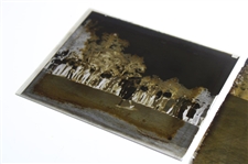 Two (2) Vintage Glass Negative Plates - Action Shot & Pose
