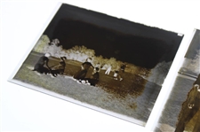 Two (2) Vintage Glass Negative Plates - Action Shot & Pose