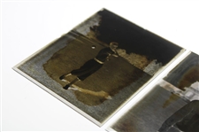 Two (2) Vintage Glass Negative Plates - Action Shot & Pose