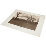 'Betting Wagers Start 1st Tee Box' Golf Print