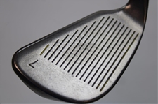 Ping Eye 2 Black Dot Iron Set (3-SW) w/Stainless Steel Heads & Golf Pride Grips