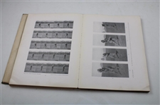 'Golf Fundamentals' by Seymour Dunn