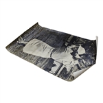 Very Large Photo Of Babe Zaharias Weinstock-Lubin & Co. Sacramento Display