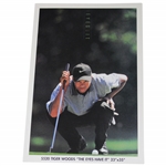 1997 Tiger Woods The Eyes Have It Nike Mini Poster Card - Rare