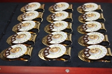 Fifteen (15) Hall Of Fame Member Commemorative Money Clips in Display Case