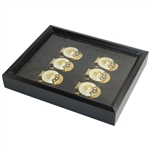 Six (6) Hall Of Fame Member Commemorative Money Clips in Display Case
