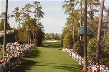 Arnold Palmer Signed Cut With Photo Of 2004 Last Hole 18th Tee Shot JSA ALOA