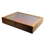 Wood & Glass Display Case