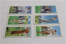 (3) Ogden's Cigarette Champions Of 1936 Card & (3) Park Drive Cigarette Champions Cards