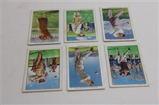 (3) Ogden's Cigarette Champions Of 1936 Card & (3) Park Drive Cigarette Champions Cards