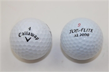 NFL HoF Lynn Swann & Celebrity Larry the Cable Guy Signed Golf Balls JSA ALOA