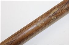 Swing Trainer Lead Ball with Spring Shaft Extender