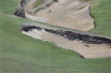 Artist Cecil Aldin Ltd Ed North Berwick Golf Course Original Color Lithograph