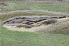 Artist Cecil Aldin Ltd Ed North Berwick Golf Course Original Color Lithograph
