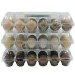 Three (3) Dozen Vintage & Classic Mesh, Bramble & other Golf Balls