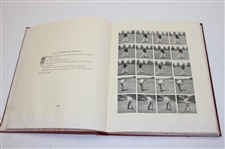 1919 Book Picture Analysis