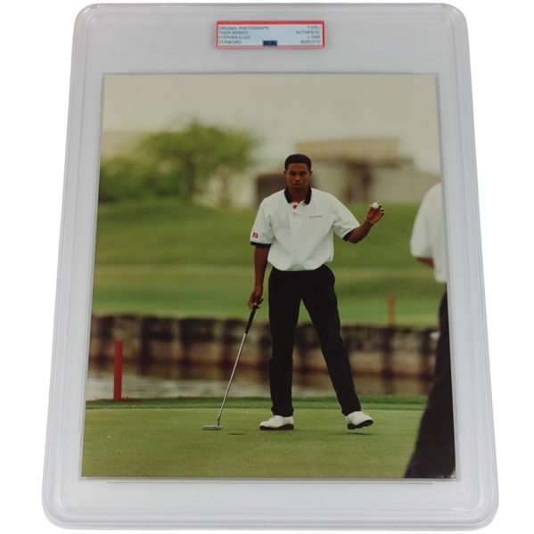 c.1995 Tiger Woods at Stanford Stephen Elias Original Photograph - Authentic PSA TYPE 1 Photo