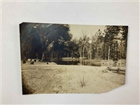 Collection of Six Sepia Toned Photographs of P.J. Berckmans Nursery in Augusta, Georgia