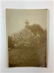 Collection of Six Sepia Toned Photographs of P.J. Berckmans Nursery in Augusta, Georgia